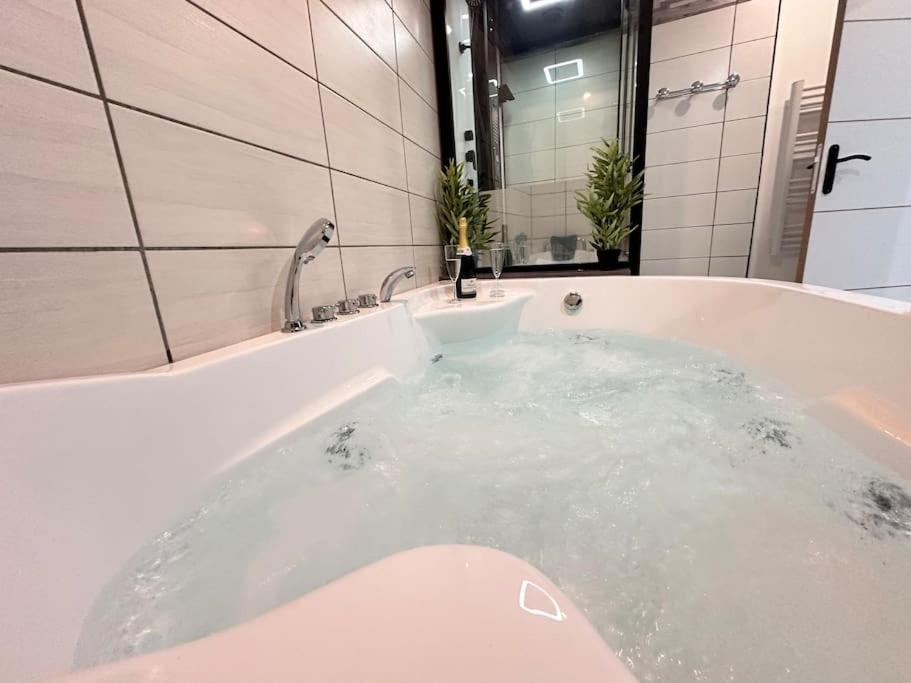 E Servagnat T3 Luxe Avec Sauna Jacuzzi Et Hammam 埃佩尔奈 外观 照片